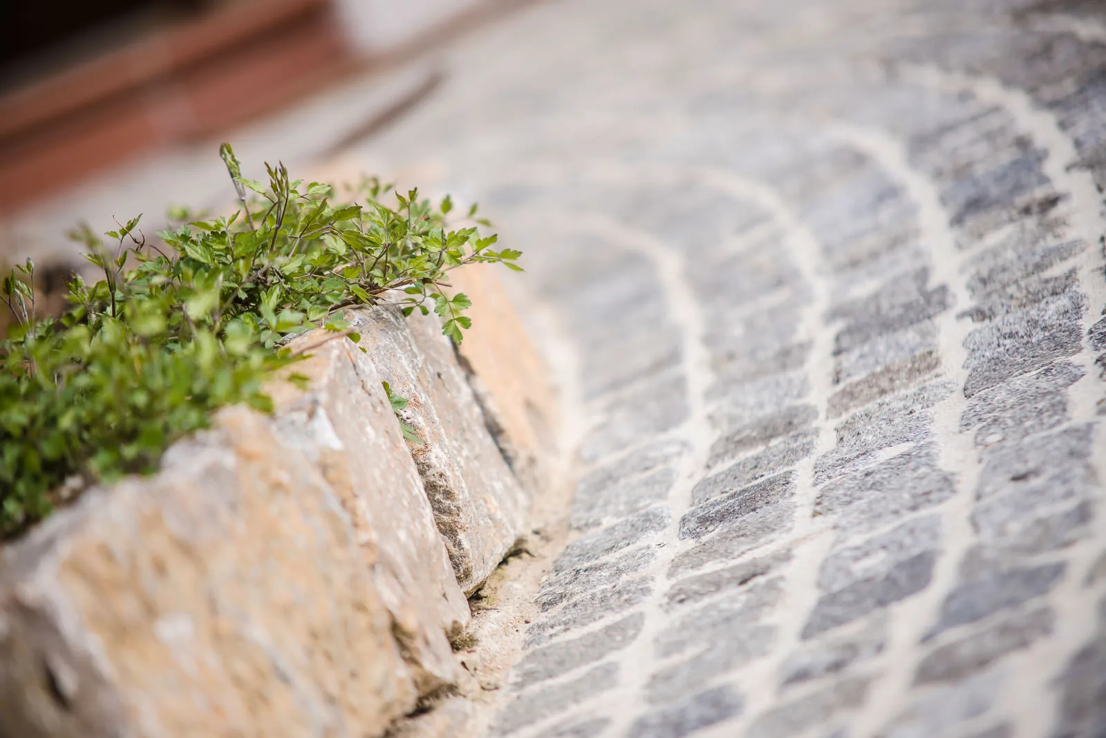 Detail einer Natursteinmauer neben einer gepflasterten Fläche