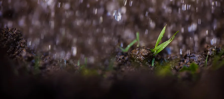 Frisch bearbeitete Gartenfläche vor der Bepflanzung