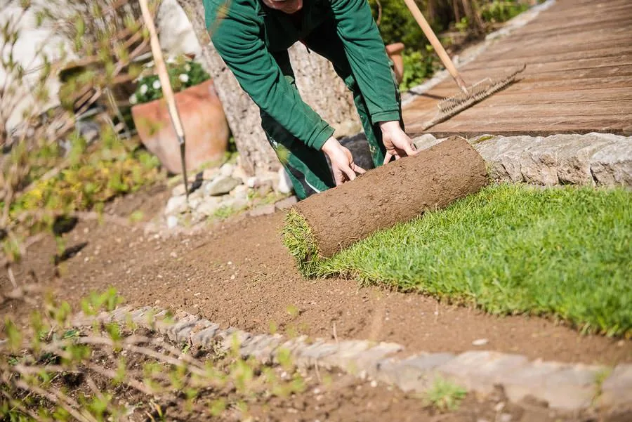 Verlegen von Rollrasen auf vorbereitetem Boden