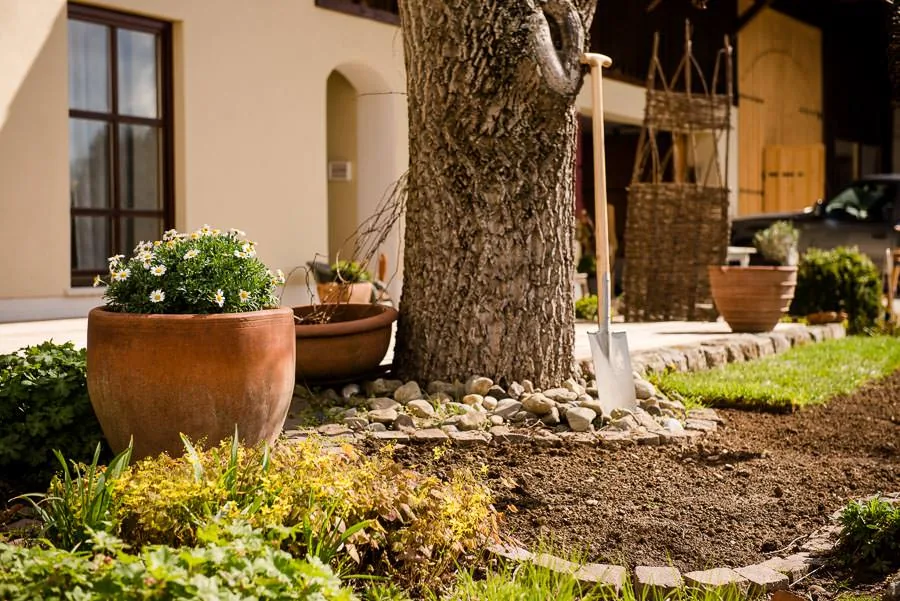 Neu gestalteter Innenhof mit Baum, Pflanzkübeln und Pflasterfläche